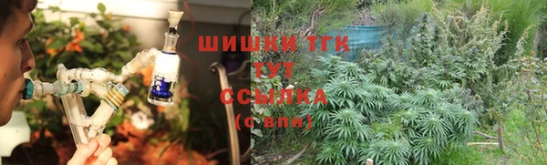 сатива Чита