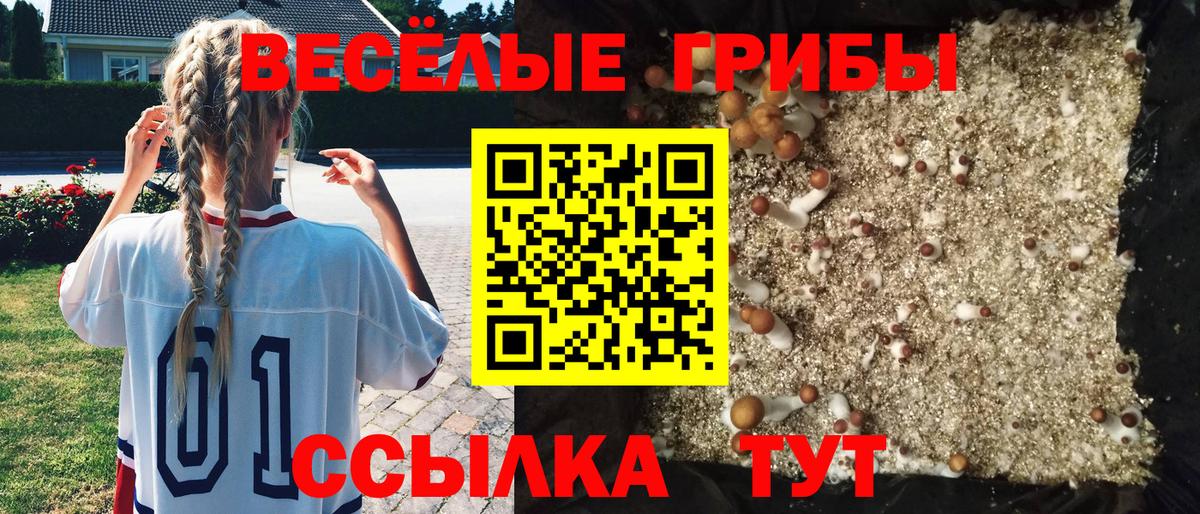 Псилоцибиновые грибы MAGIC MUSHROOMS  Псилоцибиновые грибы прущие грибы  Северск  Вход с VPN 