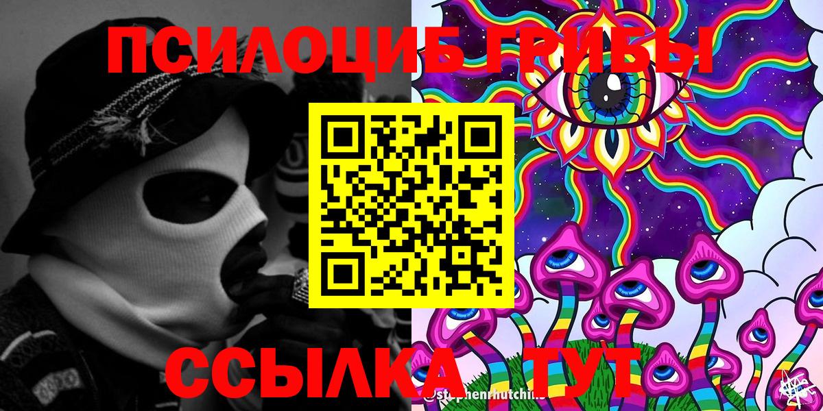 Галлюциногенные грибы мухоморы  Северск  Псилоцибиновые грибы GOLDEN TEACHER 