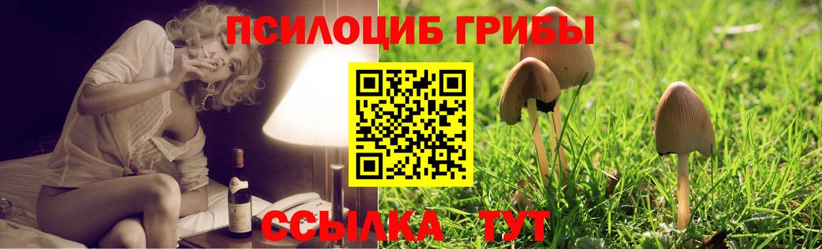 Псилоцибиновые грибы мицелий Северск