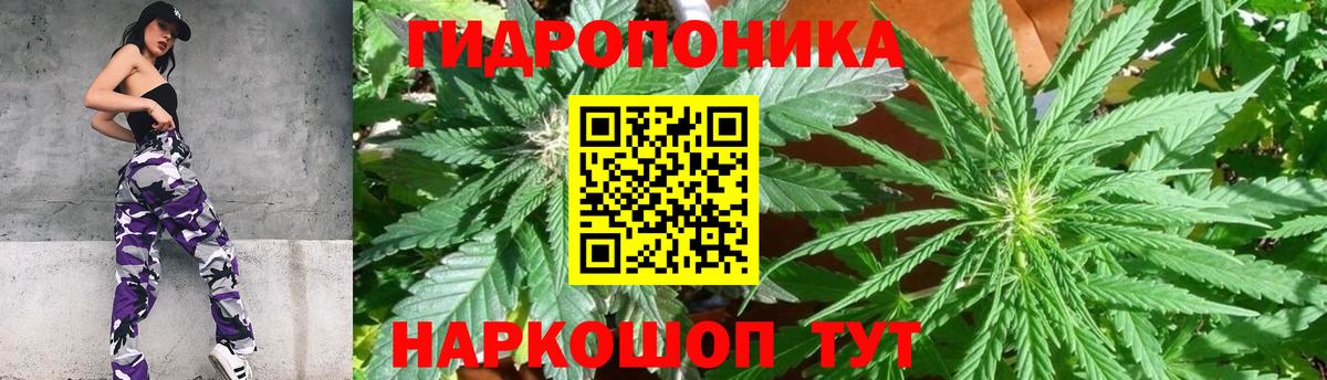 Канабис гибрид Северск